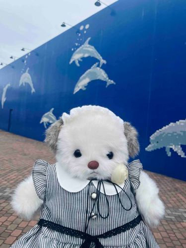 ラブリ〜、GWは八景島シーパラダイス行ってきたの！
イルカのショーやお魚見れたよ。海の中に来たみたいでうっとりしちゃった。また行きたいな。