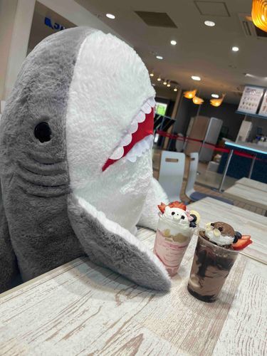 サメちゃん、シーパラのゲーセンで来ちゃったよ！

サメちゃん「これからよろしくな、パフェは美味しくいただくぜ」