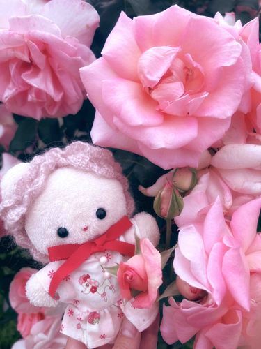バラ園行ったらもう咲いてた🌹今年はやいね！ちょうど、バラみたいなお帽子かぶったショートケーキちゃんだよ🍰