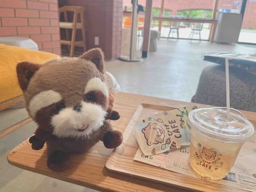 ひげぞ〜のcafeへやってきた！
ぬいにならないかな〜と思ってたひげぞ〜のぬい、発見して早速お迎えしてしまった〜！
