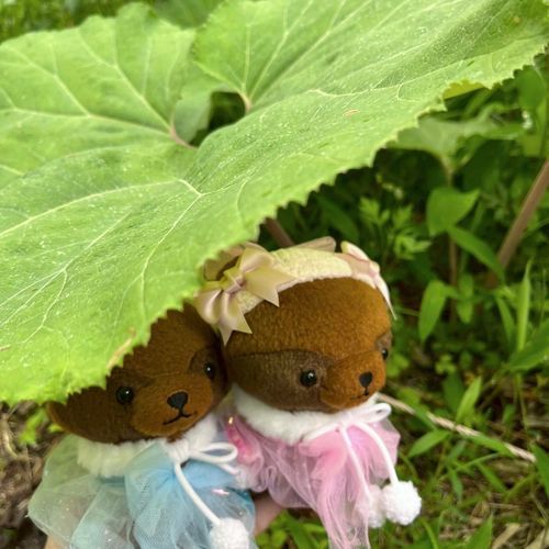 だけど雨降って来ちゃってね、葉っぱの傘のしたで雨宿りしていたぬ。

たぬぅとたにゅうだぬ♡