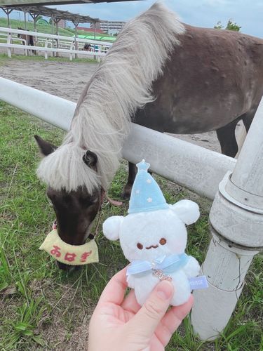 今日はおはぎちゃんっていうポニーさんに会ったよ〜♡おはぎちゃんは賢くって、いろんなパフォーマンスもできるの！