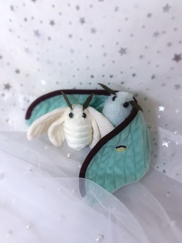 おカイコちゃんも来てくれました(虫、蛾が苦手な方ごめんなさい)

オオミズアオさんと感動の再会です。
とっても小さくてふっくらしていてかわいいです。おめめも少しおっきくてくりくり！

小学校の自由研究でおカイコちゃんを育てたことを思い出した。可愛かったな。
