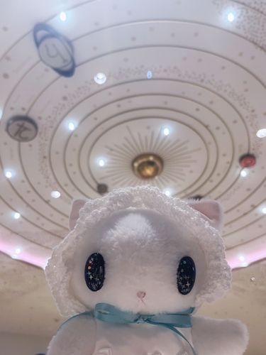 コスモです。プラネタリウム見に行ったよ！流れ星を探してを見たよ。
もっといろんなプラネタリウムを見たり星のこと、知りたいな。
