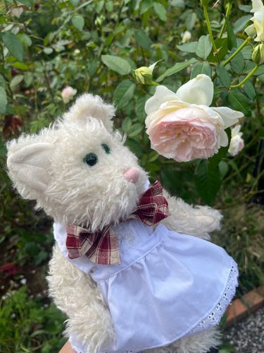 クリームソーダだよ！
バラ🌹見てきたの。綺麗で素敵な香りがするよ。