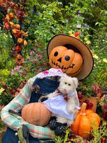 🎃ハッピーハロウィン🎃
かかしさんに会ったよ〜〜！