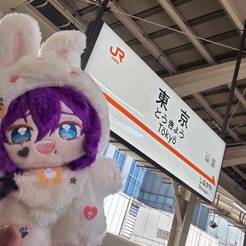 かいぬしの久しぶりすぎる東京遠征にお供ですぅ。