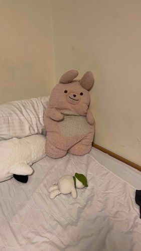 うさぎに征服された