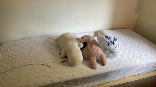 お引越し終わってクタクタのもふもふたち