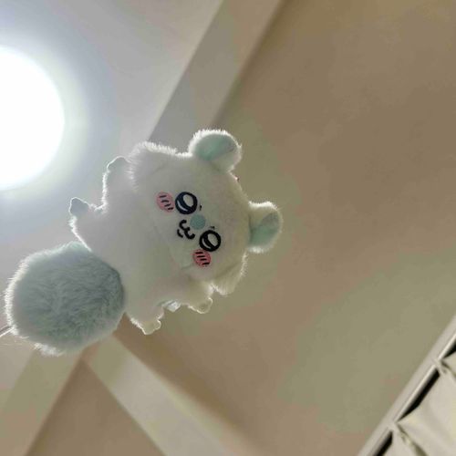 モモンガちゃんも一緒に暮らしてるんだ‎🤍🩵