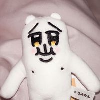 恥美