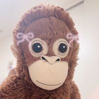おらん