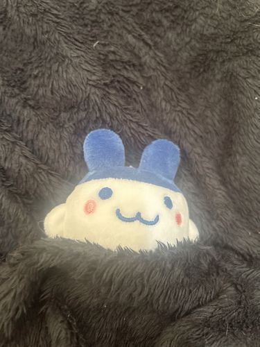 ぬくぬくみみこ🤍
