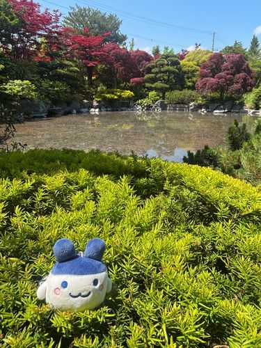みみこ、お散歩日和だね(*^^*)🌳
