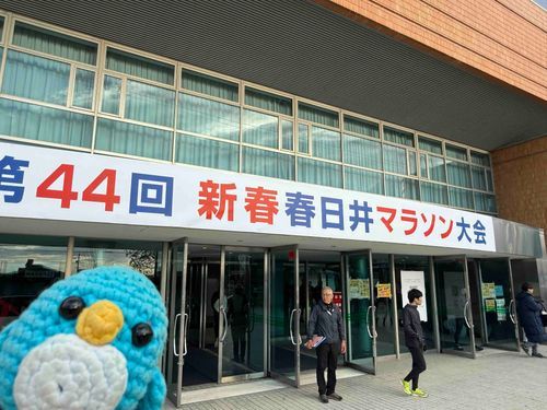 地元のマラソン大会に出たで！🐧(主が)