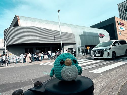 ふふふ…またZeppに来たで🐧✨