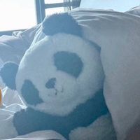 シャチ