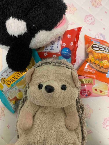 いつかのおやつタイムのぼんぼ！ひとりじめしようとしたら、飛び込みでシャチのハムが現れて、しっかりキープされちゃったよ！