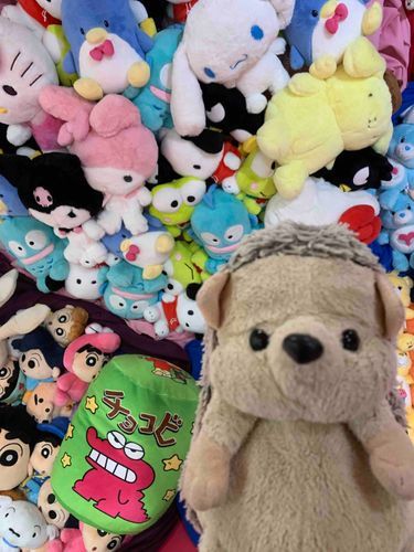 池袋のサンシャインで撮った写真！
ちょっと合成っぽくみえるぼんぼ🦔