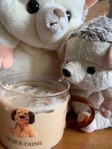 スリーピー？っていうとこで300円で買ったカップが最近のお気に入りなんだ🐶
カフェラテ飲もうって思ったら、ぴぴも来たから一緒に飲んだよ✨