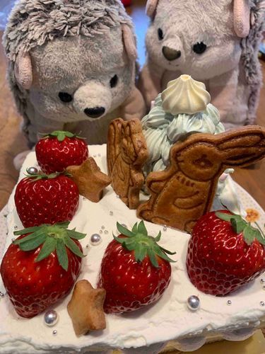 にんげんが風邪ひいてるので、こっそりぼんぼが味見…
みんなめりーくりすます！🎄✨
楽しいクリスマスを！

コメントのお返事とか、おそかったりできてなかったりほんとうにごめんね…！