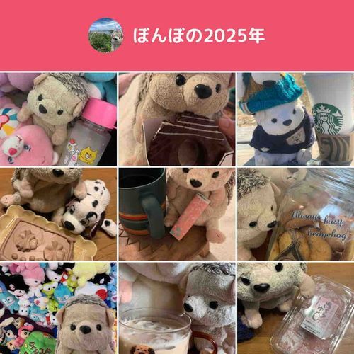 今年はどたばたしたり体調くずしたり…てんやわんやだったけど…
美味しいものはたくさん食べれてよかった✨
ひさしぶりでも、いつもあったかくむかえてれるみんなが大好きだよ！
ぼんぼと仲良くしてくれてありがとう！
来年もよろしくね！
