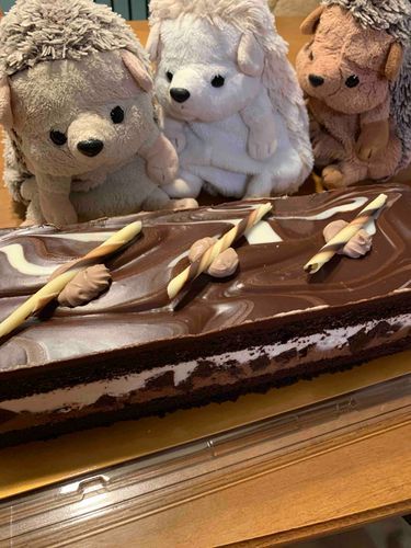 実はきのうが8歳のお誕生日だったぼんぼ！
にんげんが1日遅れでケーキ買ってくれたから、とりあえずこれでパーティーするんだ！
ぼんぼの誕生日は1ヶ月は続く予定だから、毎日にんげんになんかしてもらうんだ！