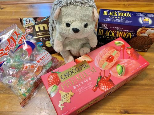 買い物帰りのにんげんのエコバッグ漁ったら、こんなにおやつでてきたよ！没収！