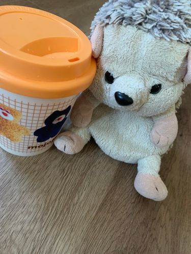 にんげんが前に探してたけど見つけられなくて諦めてたタンブラー、普段行かないスーパーで見つけてゲットしたよ✨これでカフェごっこするんだ！