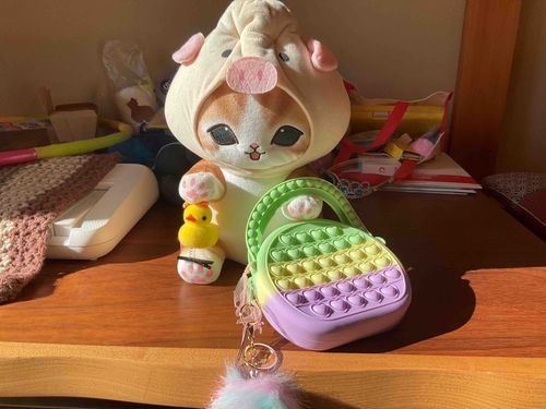 ペットも連れて行ってきますー！
(アヒル)