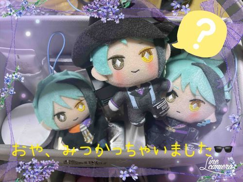 メイクポーチの中でかくれんぼしてたジェぬい🐬