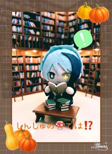 秋も終わりですが、ジェぬいは何かを発見したようです💡
