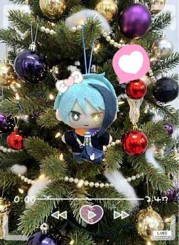 ことしこそ！サンタをほかくします！やぬしは　録画してください⏺️
