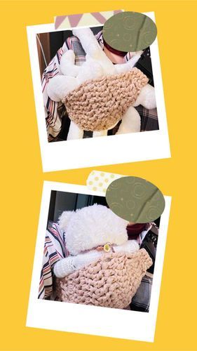 あたらしだっこひも　あいちゃんも　はいれる　けど　ぼくのが　ぴったんこ　だもん　ふんふんふんふんふんふん
て　やぬしに　ごじまんしたら　やぬしに　わらわりた　ぬん