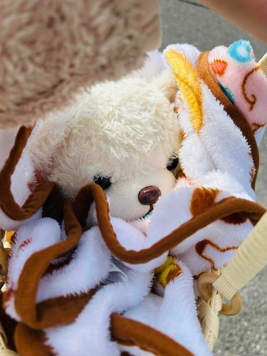 ぽーっかぽかぽか　ふわふわ　ふんふんふー