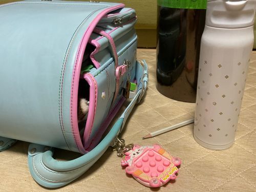 おひさしぶりすぎるひらかれどーこだ！　中〜上級！　おねえさんのらんどせる🎒をつかわせてもらったよー