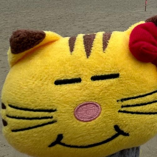 🐱