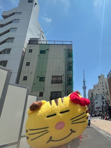 こんにちは！ すこしずつ かこの しゃしんから のせていくよ！
これは スカイツリー っていうのに つれてってもらったやつ！🐱🎀