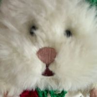 ふわ