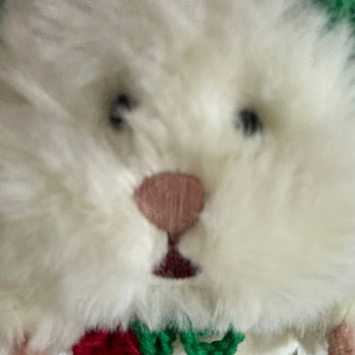 はむにぎりのふわです。