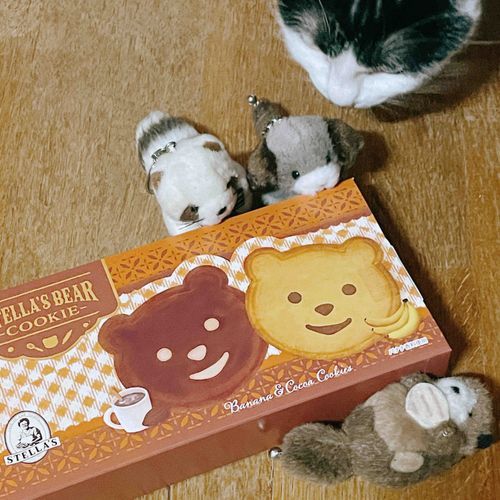 かわいいクッキー、もらった！