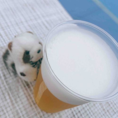 ちょっと休憩。エチゴビール！