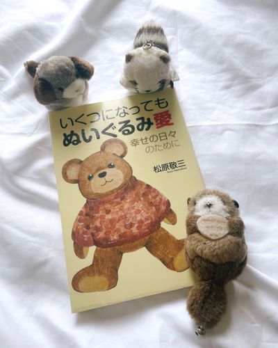 お久しぶりです。最近はぬい活の為になりそうな本を図書館で借りて読んでいます。2022年の本だそうです。時代がぬいぐるみを求めている！