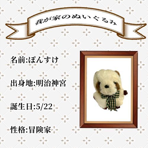 ぼくのプロフィールだよ！他の仲間たちのもいるみたい。
持ち主がファイルキーホルダーに入れたいって〜。