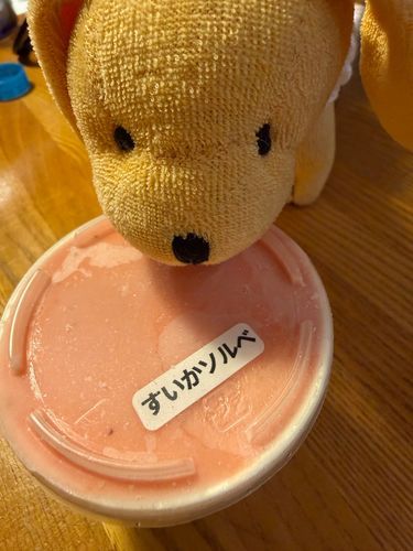 お久しぶりです❣️
大好きなお店のすいかソルベをいただきましたよ💕