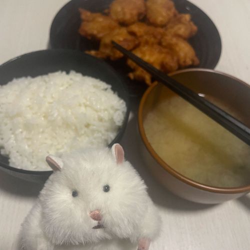 からあげ と おみそしる です
あふれる にくじゅう が たまりません
すで に しもぶくれ の ほっぺた が
おちそう に なりました