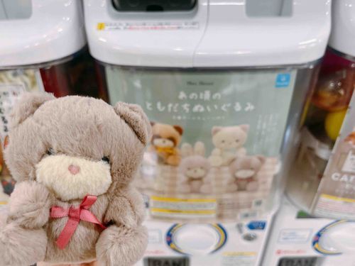 ちいさきいのち fromカプセル
くま
