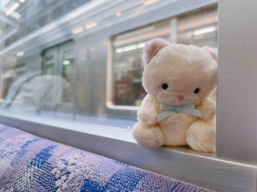今日もあの子の お仕事のつきそい
ねこ