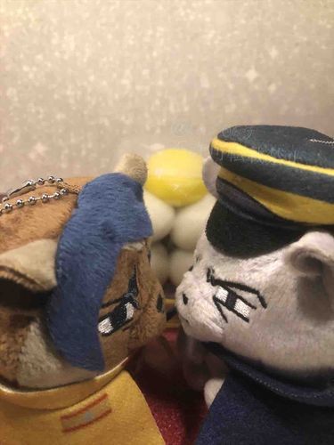 月も団子も見ずに何をしているのですか。
"月"島を見ている！
……💦