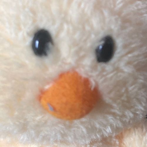 となるどです
ひまじんです
ねぐせがすごいです
こすぷれがしゅみです
ひよこびくとりーがすきです
はんばーぐがすきです
とまとがきらいです
よろしくね
飼い主(?)
暇人()
ひよこvictoryファン★